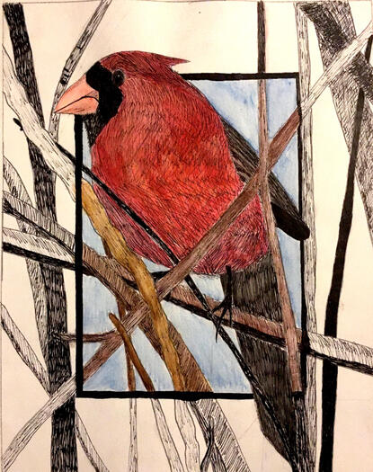Cardinal - watercolor scene
